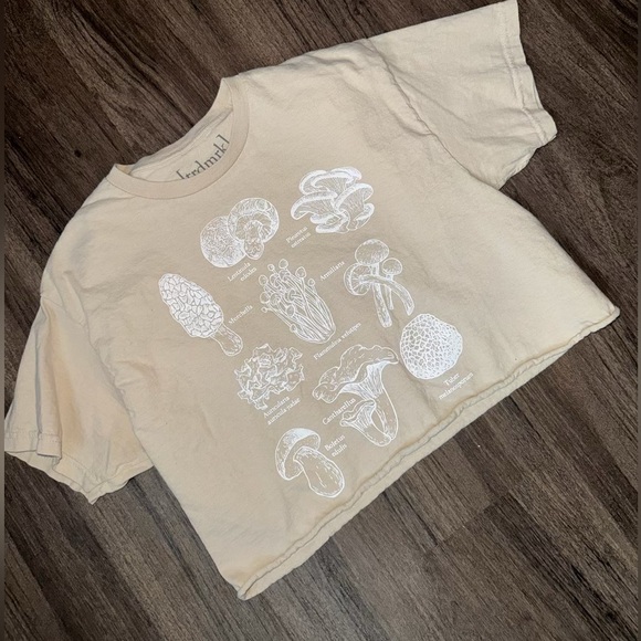 Medium mushroom crop - Picture 1 of 2